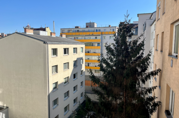 Wohnung mieten in 1100 Wien (Bild 3)