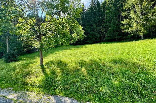 Grundstück kaufen in 8962 Gröbming (Bild 5)