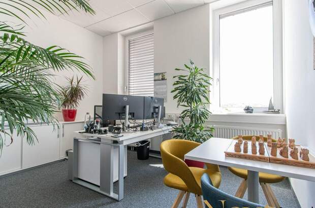 Gewerbeobjekt mieten in 4050 Traun (Bild 4)