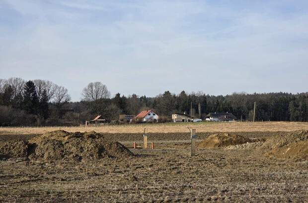 Grundstück kaufen in 8483 Deutsch Goritz (Bild 4)