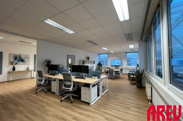 Gewerbeobjekt mieten in 4060 Leonding (Bild 4)