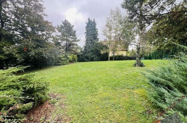 Einfamilienhaus kaufen in 2113 Karnabrunn (Bild 5)