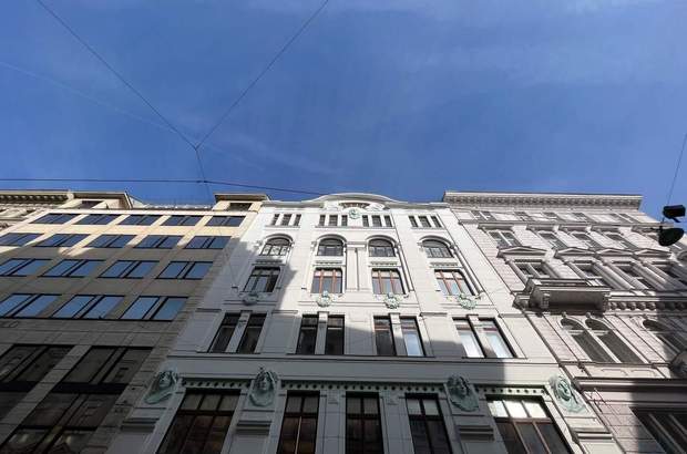 Wohnung kaufen in 1010 Wien (Bild 1)