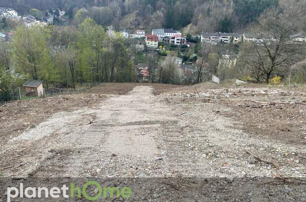 Grundstück kaufen in 2391 Kaltenleutgeben (Bild 3)