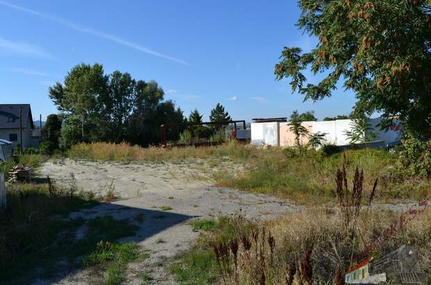 Grundstück kaufen in 2482 Münchendorf (Bild 4)