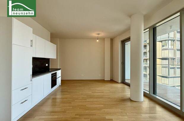 Terrassenwohnung mieten in 1100 Wien (Bild 1)