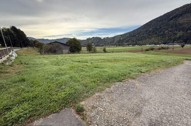 Grundstück kaufen in 8121 Prenning (Bild 1)