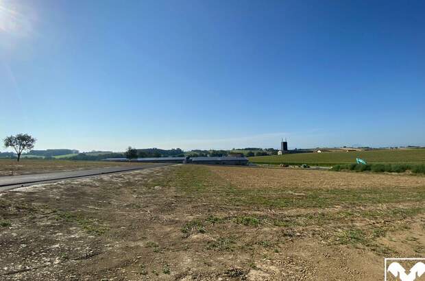 Gewerbeobjekt mieten in 4611 Buchkirchen (Bild 4)