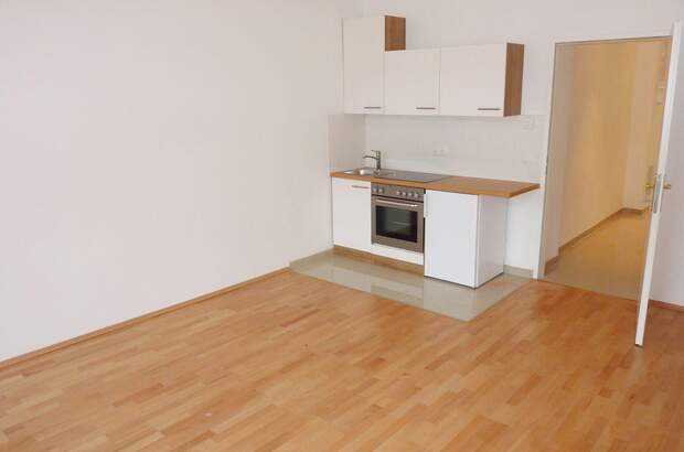 Altbauwohnung mieten in 1200 Wien (Bild 3)