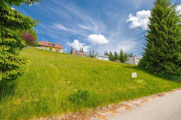 Grundstück kaufen in 9100 Völkermarkt (Bild 4)