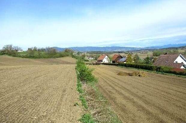 Grundstück kaufen in 8522 Groß Sankt Florian (Bild 4)