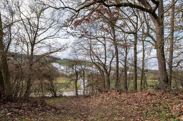 Grundstück kaufen in 4624 Pennewang (Bild 2)