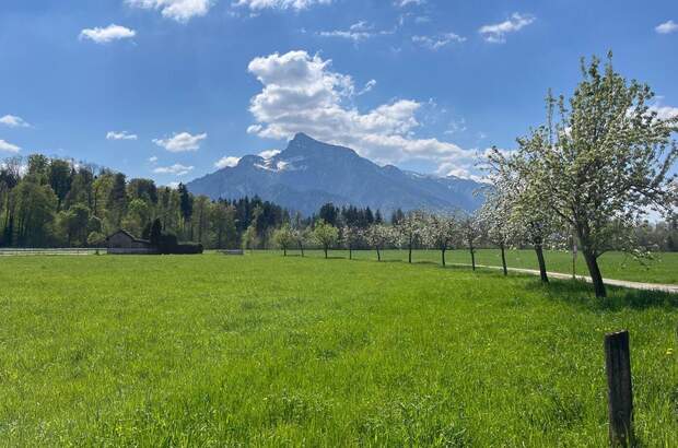 Grundstück kaufen in 5020 Salzburg (Bild 4)