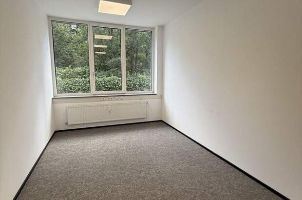 Gewerbeobjekt mieten in 8200 Gleisdorf (Bild 3)