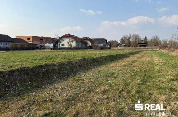 Grundstück kaufen in 4070 Pupping (Bild 3)
