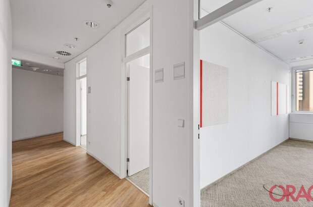 Gewerbeobjekt mieten in 1220 Wien (Bild 5)