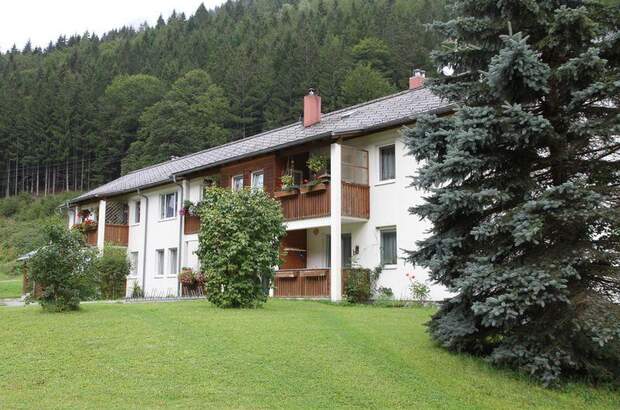 Terrassenwohnung mieten in 8795 Radmer (Bild 1)