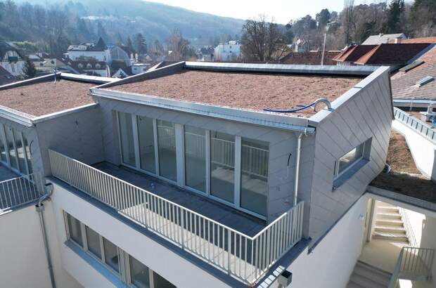 Haus mit Garten kaufen in 3400 Klosterneuburg (Bild 5)