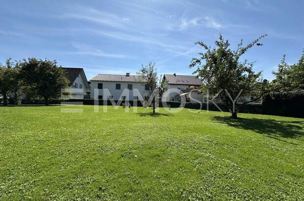 Grundstück kaufen in 6923 Lauterach (Bild 3)