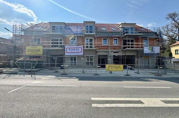 Terrassenwohnung kaufen in 3420 Kritzendorf (Bild 3)