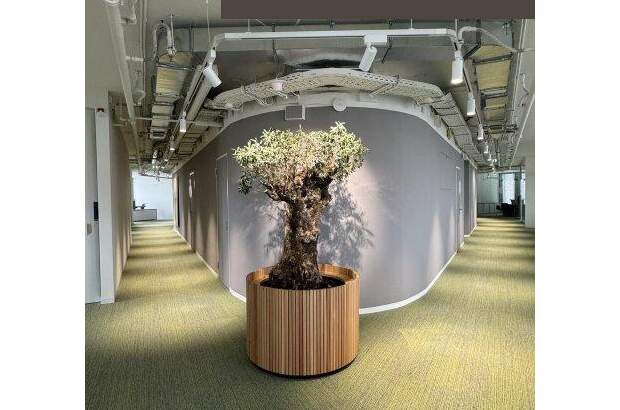 Büro / Praxis mieten in 1030 Wien (Bild 1)