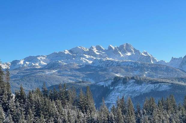 Grundstück kaufen in 5442 Rußbach (Bild 1)