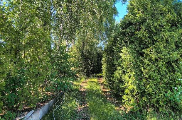 Haus kaufen in 3872 Amaliendorf (Bild 4)