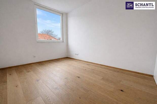 Terrassenwohnung kaufen in 2514 Traiskirchen (Bild 3)