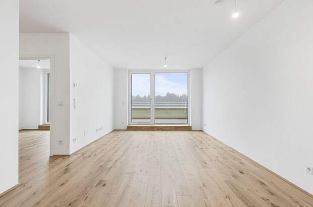 Anlageobjekt kaufen in 2540 Bad Vöslau (Bild 2)