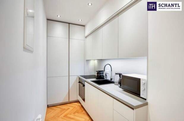 Terrassenwohnung kaufen in 1020 Wien (Bild 3)