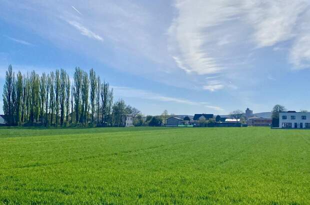 Grundstück kaufen in 2486 Pottendorf (Bild 1)