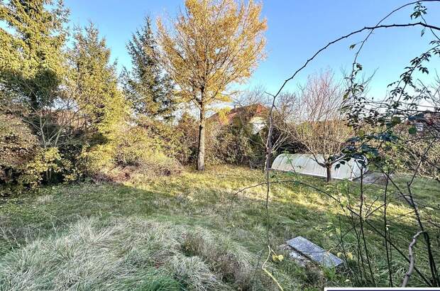 Grundstück kaufen in 4611 Buchkirchen (Bild 2)