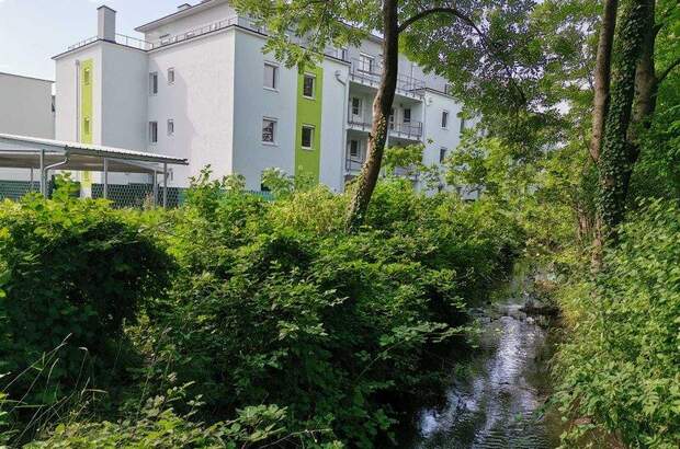 Terrassenwohnung mieten in 2442 Unterwaltersdorf (Bild 1)