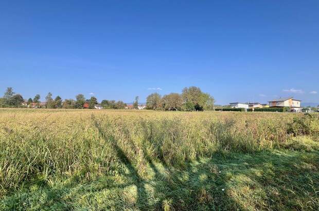 Grundstück kaufen in 7411 Markt Allhau (Bild 5)