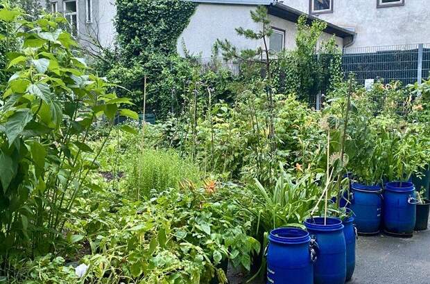 Wohnanlage kaufen in 1160 Wien (Bild 4)