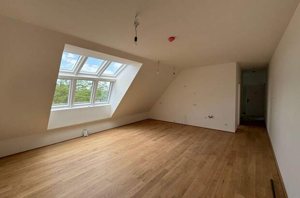 Wohnung mieten in 2380 Perchtoldsdorf (Bild 3)