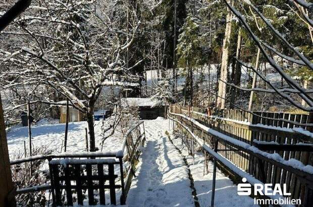 Haus kaufen in 4202 Kirchschlag (Bild 3)