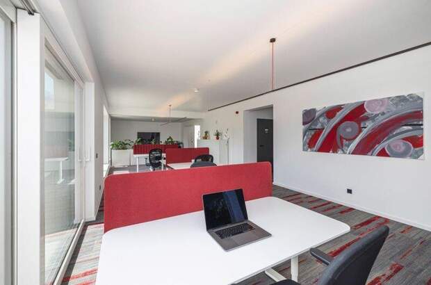 Büro / Praxis kaufen in 2103 Langenzersdorf (Bild 3)