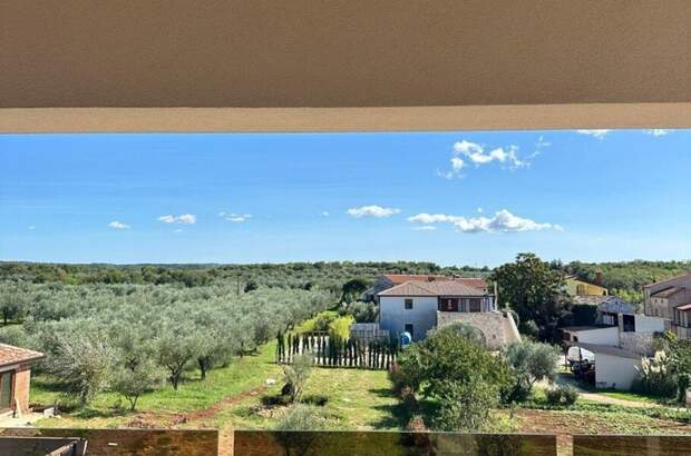 Haus mit Garten kaufen in 524666 Novigrad (Bild 4)