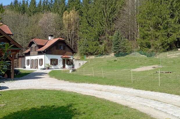 Haus mit Garten kaufen in 3170 Hainfeld (Bild 3)