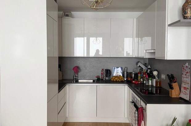 Terrassenwohnung mieten in 1020 Wien (Bild 5)