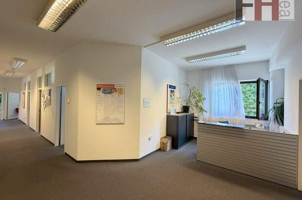 Gewerbeobjekt mieten in 3002 Purkersdorf (Bild 5)