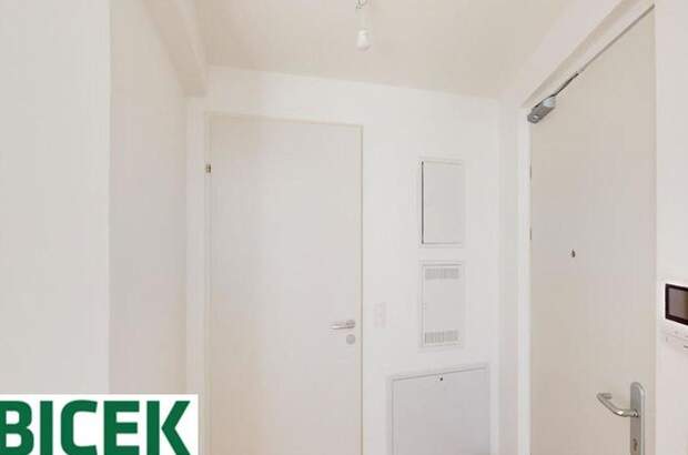 Gewerbeobjekt mieten in 1220 Wien (Bild 2)