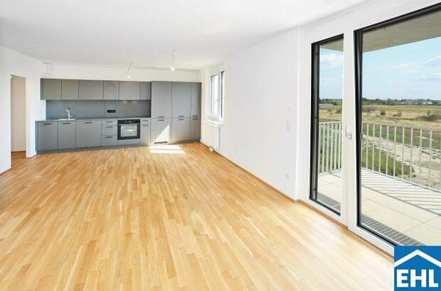 Terrassenwohnung mieten in 1220 Wien (Bild 1)
