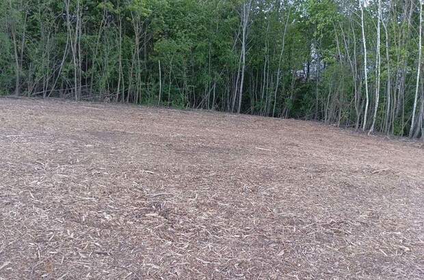 Grundstück kaufen in 7342 Kaisersdorf (Bild 3)