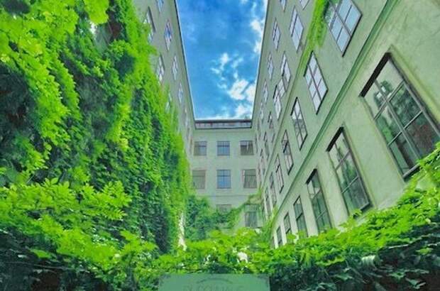 Altbauwohnung kaufen in 1070 Wien
