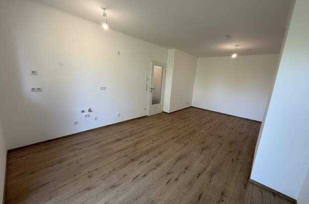 Terrassenwohnung kaufen in 2442 Unterwaltersdorf (Bild 5)