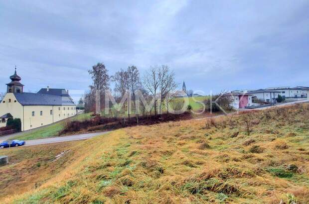 Grundstück kaufen in 4622 Eggendorf (Bild 3)