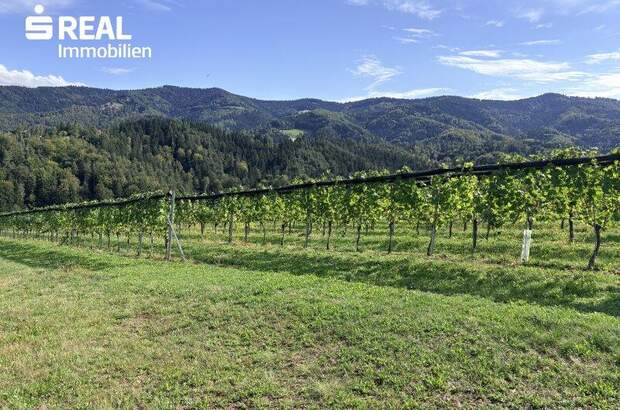 Lager kaufen in 8552 Eibiswald (Bild 1)