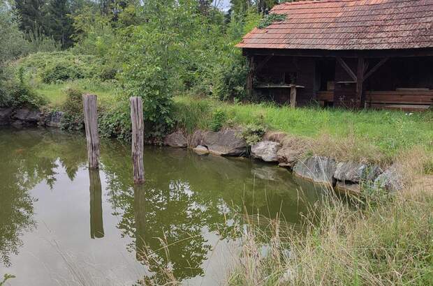 Haus kaufen in 8081 Heiligenkreuz (Bild 4)